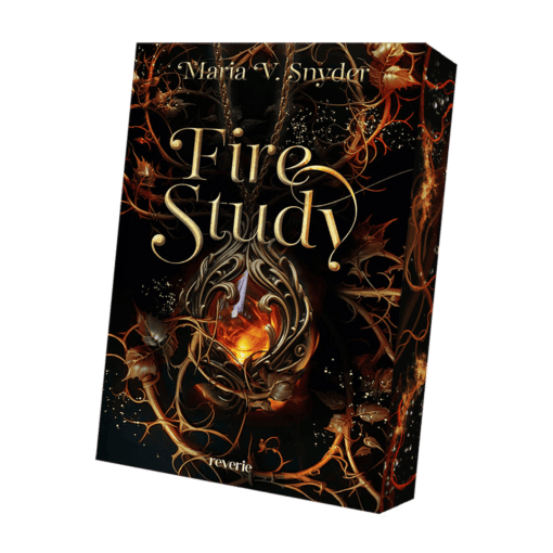 2024-11-Fire Study-Mockup