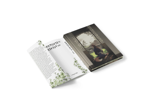 Schatten Reihe Ausstattung Band 1.-Mockup 6
