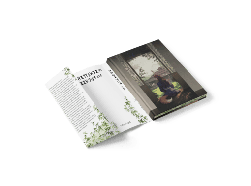 Schatten Reihe Ausstattung Band 1.-Mockup 6
