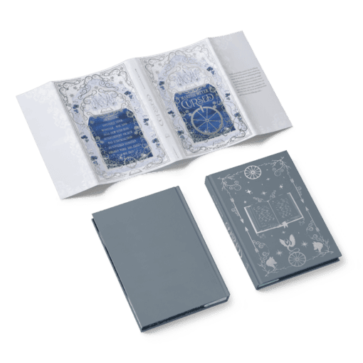 2024-02-Cursed-Mockup-SU-offen-und-Bezug.png