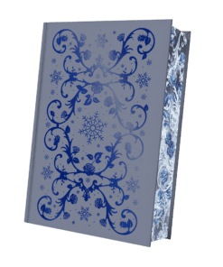 2025-02-The North Wind-Mockup Bezug und Farbschnitt.png