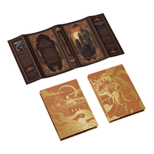 2025-04-An Amber in the Ashes-Mockup SU und Bezug.png