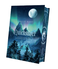 2025-06-Quicksilver-Mockup Bezug.png