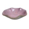ZB_2025_03_März_Muschel.png