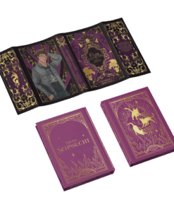 2025-03-Dark Elements Band 2-Mockup Ausstattung.png