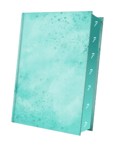 LB-2025-06-Mockup geheim ohne Text.png