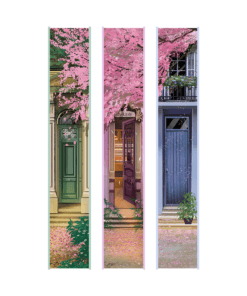 2025-08-The Story Binding Us-Mockup nur Farbschnitt 1 bis 3 KORR.png