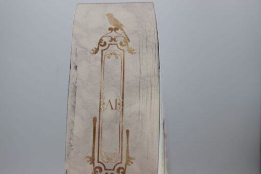 05-2025 FME 1 - The Darkest Gold 4 - Die Kämpferin.JPG