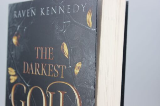 05-2025  OME 3 The Darkest Gold 2 - Die veräterin.JPG