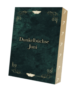 DB-2025-06-Mockup geheim mit Text.png